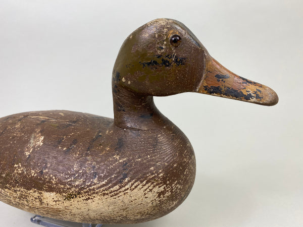 Harry Canfield Mallard Hen, Circa 1930's (#8749)