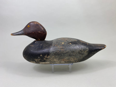 Early Mason Redhead Drake, Challenge Grade (#8750)