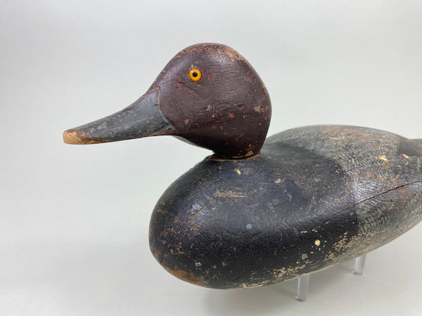 Early Mason Redhead Drake, Challenge Grade (#8750)