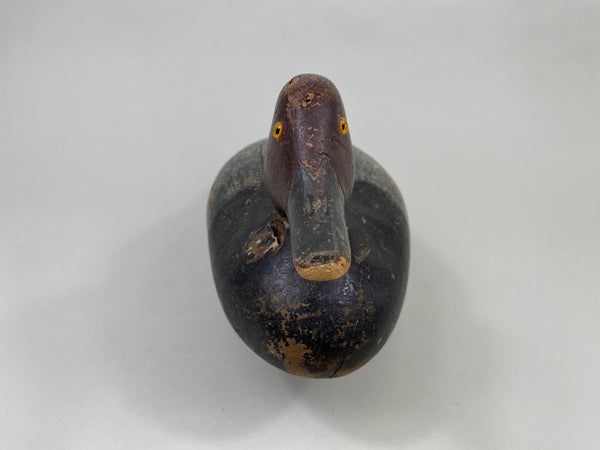 Early Mason Redhead Drake, Challenge Grade (#8750)