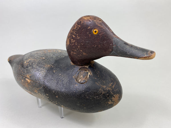 Early Mason Redhead Drake, Challenge Grade (#8750)