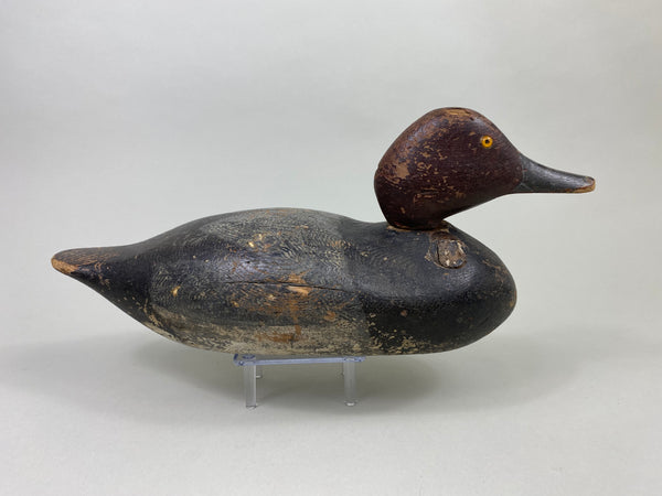 Early Mason Redhead Drake, Challenge Grade (#8750)