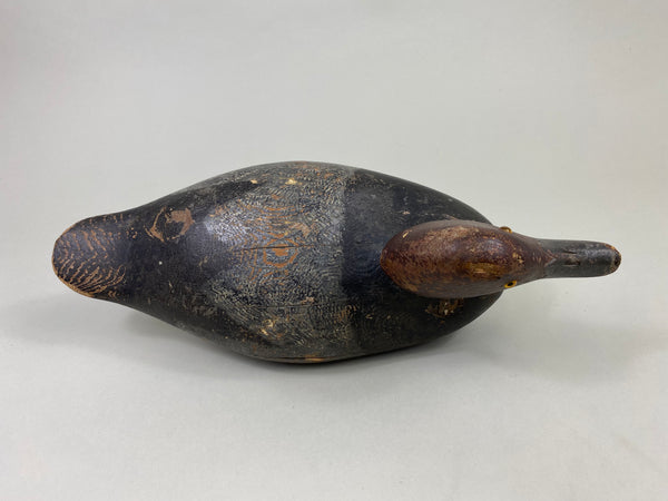 Early Mason Redhead Drake, Challenge Grade (#8750)