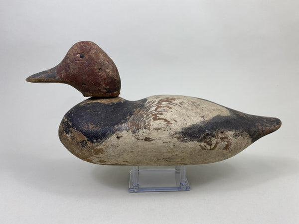 Early Mason Redhead Drake, Circa 1915 (#8760)