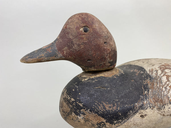 Early Mason Redhead Drake, Circa 1915 (#8760)