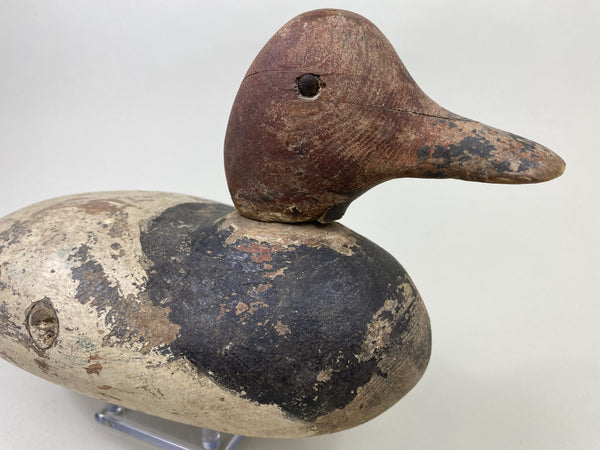 Early Mason Redhead Drake, Circa 1915 (#8760)