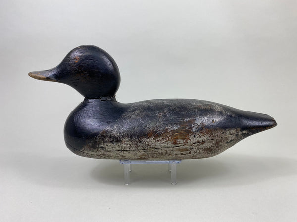 Mason Painted Eye Bluebill Drake (#8764)