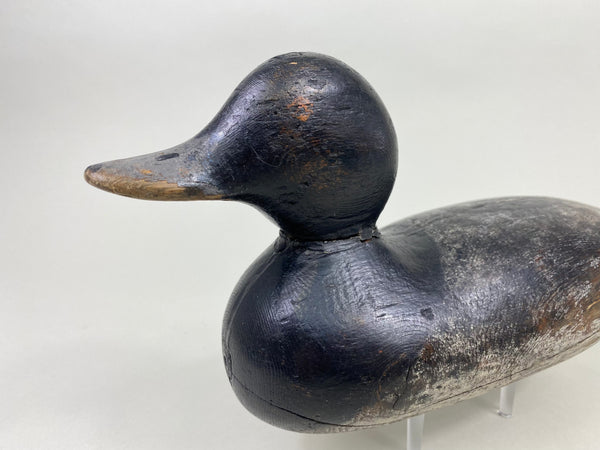 Mason Painted Eye Bluebill Drake (#8764)