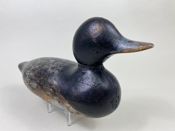 Mason Painted Eye Bluebill Drake (#8764)