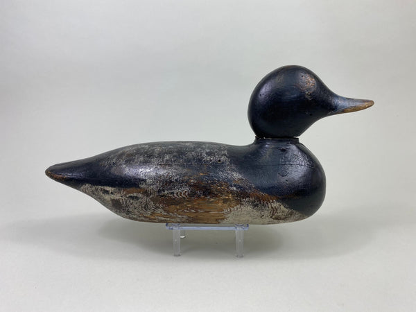 Mason Painted Eye Bluebill Drake (#8764)