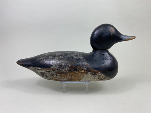 Mason Painted Eye Bluebill Drake (#8764)