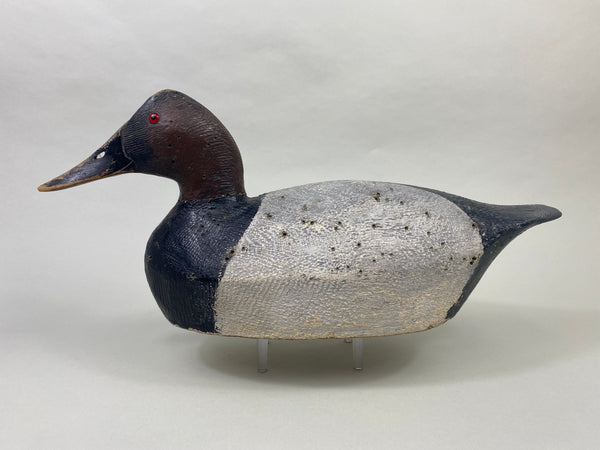 Joe Gigl Canvasback Drake (#8767)