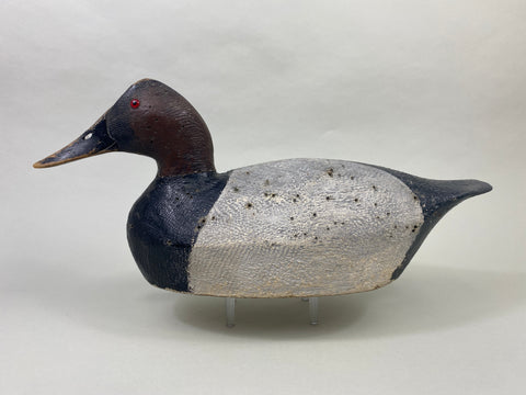 Joe Gigl Canvasback Drake (#8767)