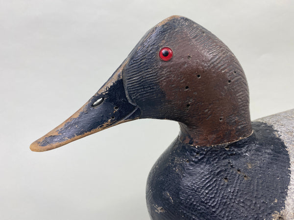 Joe Gigl Canvasback Drake (#8767)