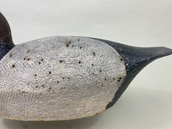 Joe Gigl Canvasback Drake (#8767)