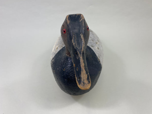 Joe Gigl Canvasback Drake (#8767)
