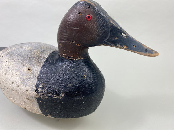 Joe Gigl Canvasback Drake (#8767)