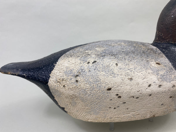 Joe Gigl Canvasback Drake (#8767)