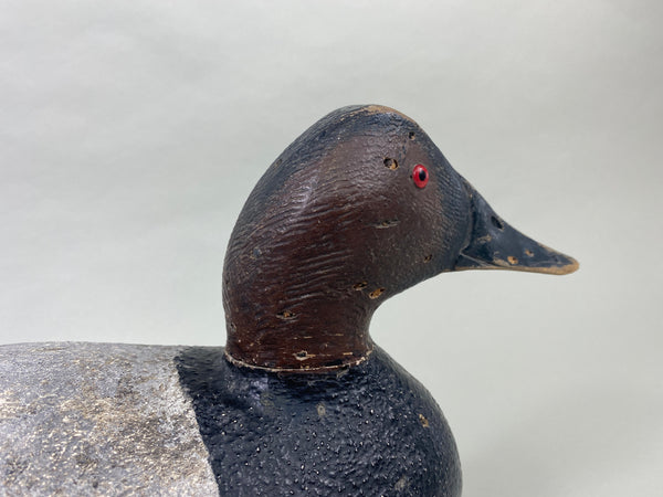 Joe Gigl Canvasback Drake (#8767)