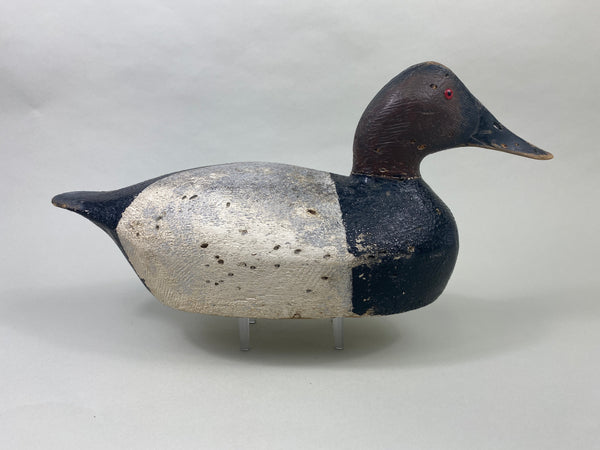 Joe Gigl Canvasback Drake (#8767)