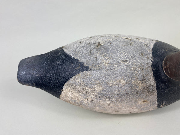 Joe Gigl Canvasback Drake (#8767)