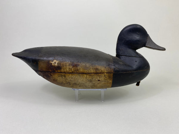Tom Applegait Bluebill Drake Circa 1890's (#8779)