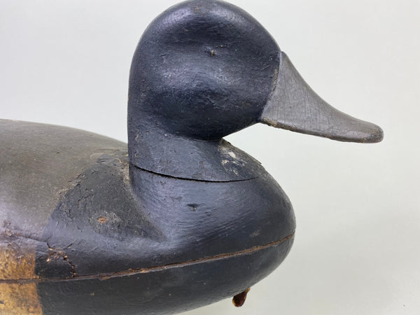 Tom Applegait Bluebill Drake Circa 1890's (#8779)