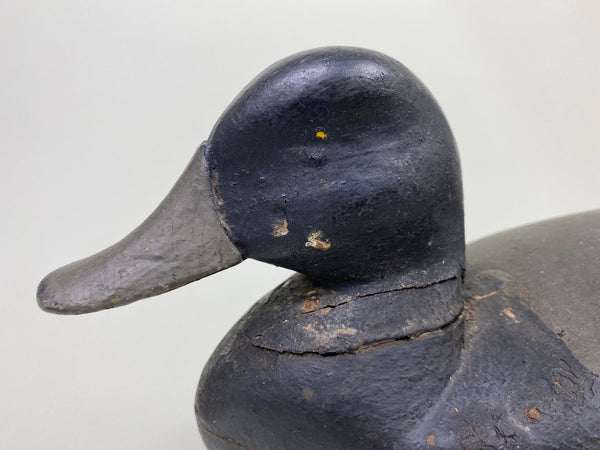 Tom Applegait Bluebill Drake Circa 1890's (#8779)