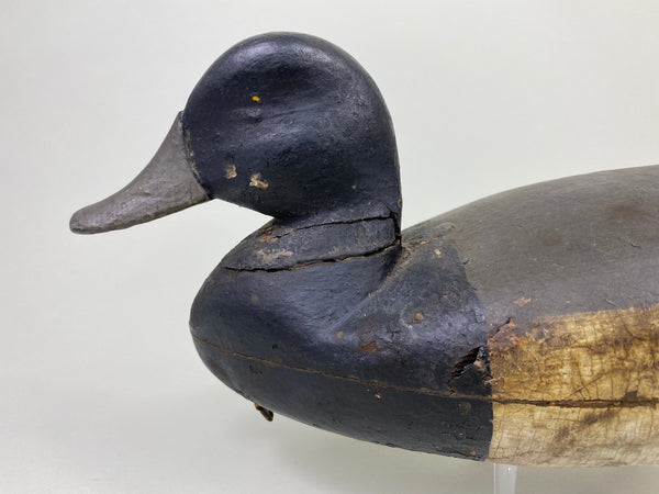 Tom Applegait Bluebill Drake Circa 1890's (#8779)