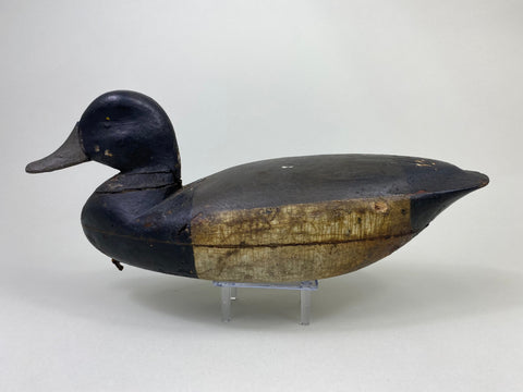 Tom Applegait Bluebill Drake Circa 1890's (#8779)