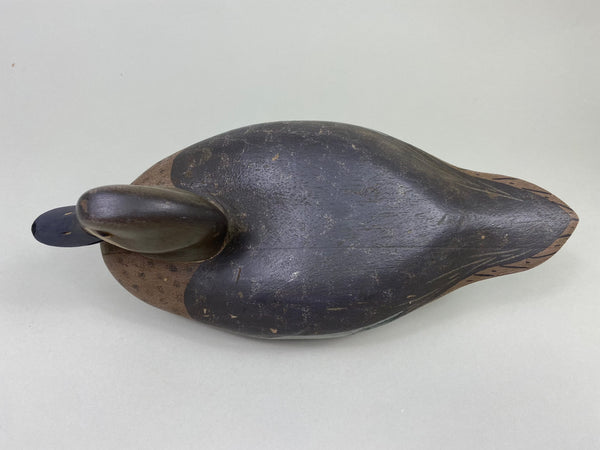 Walter Ruppel Blue-Wing Teal Early Example (#8781)