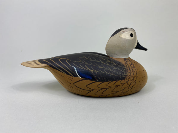 William Coleman Half Size Wood Duck Hen (#8783)