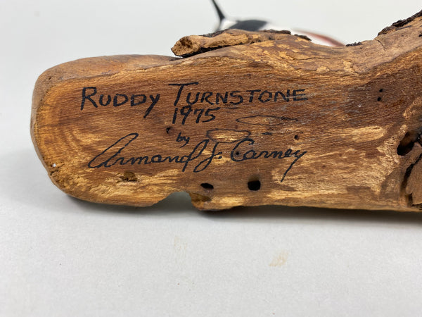 Armand Carney Ruddy Turnstone (#8784)