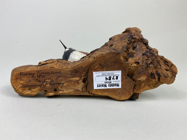 Armand Carney Ruddy Turnstone (#8784)