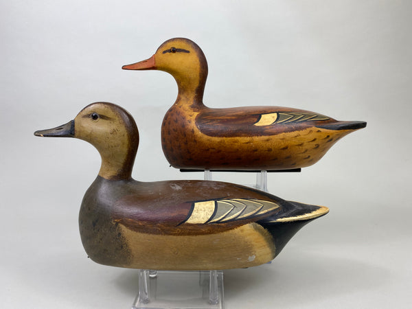Jim Slack Gadwall Pair (#8798)