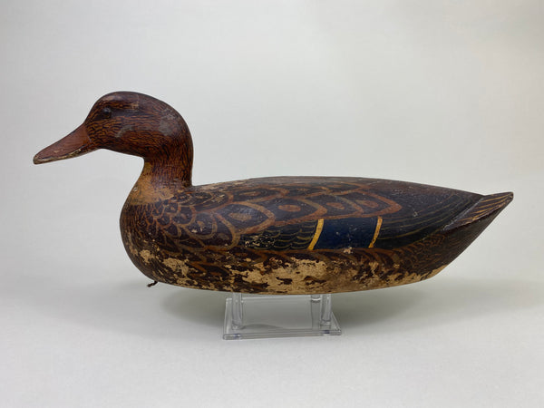Heck Whittington Mallard Hen Working Decoy, Circa 1930's (#8803)