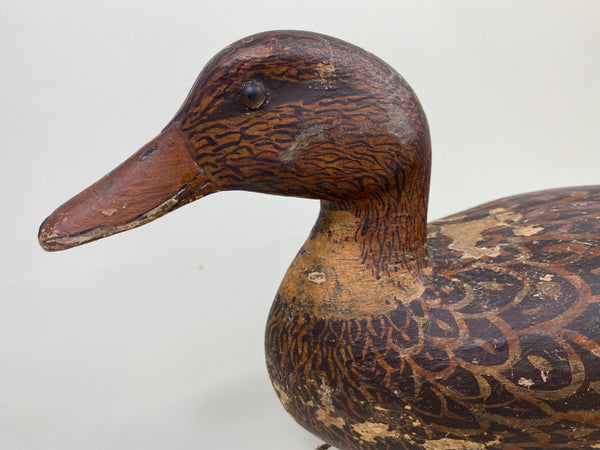Heck Whittington Mallard Hen Working Decoy, Circa 1930's (#8803)