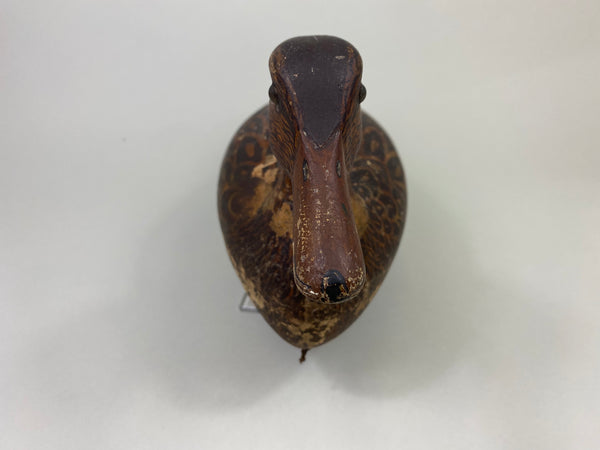 Heck Whittington Mallard Hen Working Decoy, Circa 1930's (#8803)