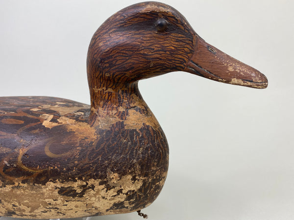 Heck Whittington Mallard Hen Working Decoy, Circa 1930's (#8803)