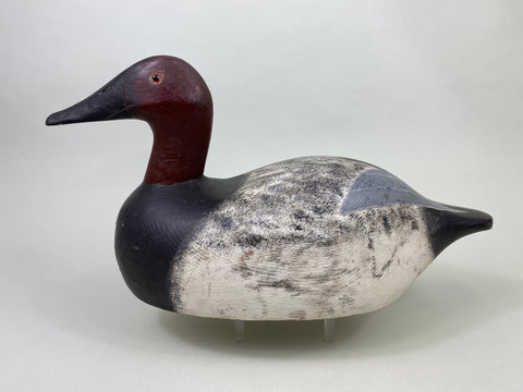 George McBride Canvasback Drake (#8808)
