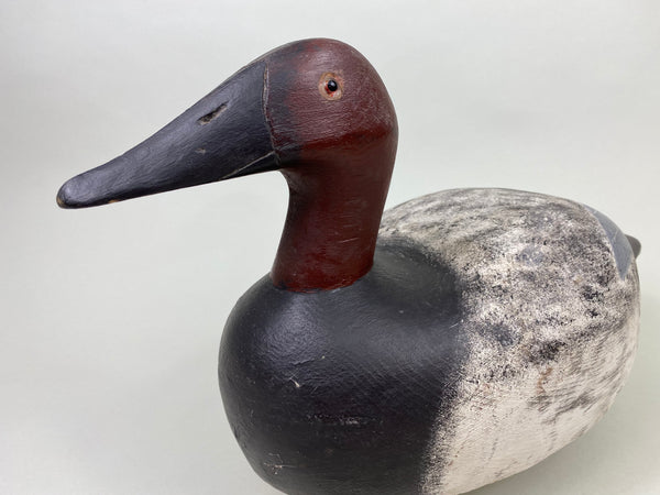 George McBride Canvasback Drake (#8808)