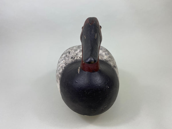 George McBride Canvasback Drake (#8808)