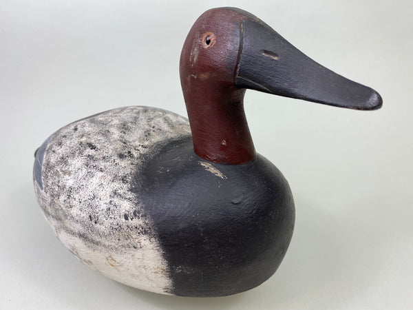 George McBride Canvasback Drake (#8808)