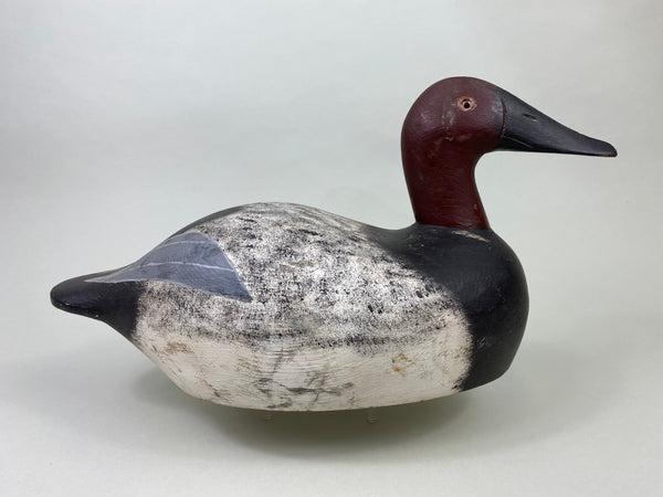 George McBride Canvasback Drake (#8808)