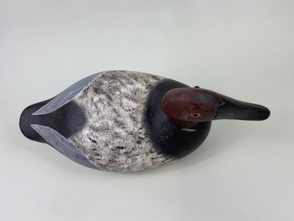 George McBride Canvasback Drake (#8808)