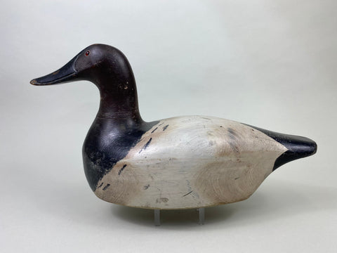 Marshall Williams Canvasback Drake, Circa 1920 (#8809