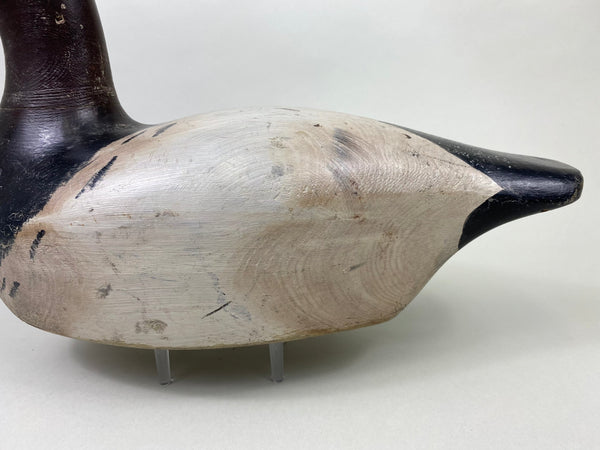 Marshall Williams Canvasback Drake, Circa 1920 (#8809