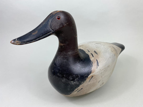 Marshall Williams Canvasback Drake, Circa 1920 (#8809