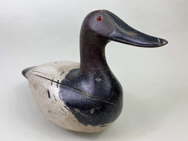 Marshall Williams Canvasback Drake, Circa 1920 (#8809