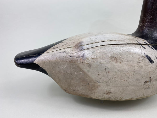 Marshall Williams Canvasback Drake, Circa 1920 (#8809